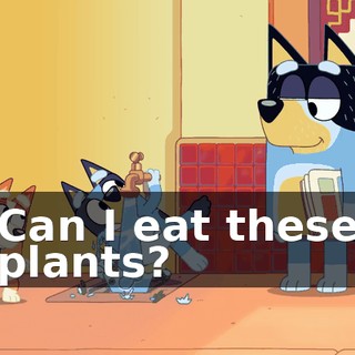 Can I eat these plants?