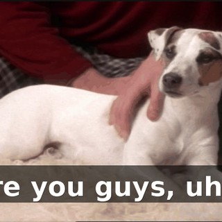 5b92109c-aec5-4c19-994e-ea3800e04587.gif