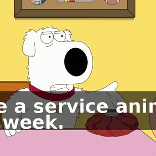 5b98f086-5071-4e01-9c16-24d8c504c3f8.gif