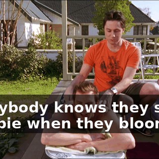 5c2e9edd-0ad6-4411-86ee-7733c93b0e28.gif