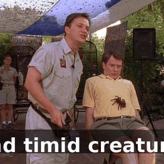 and timid creature.
