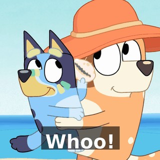 5c65c30c-e70c-40b5-9e1f-4a5be7d5eb25.gif