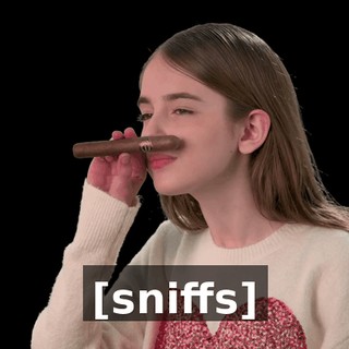 [sniffs]