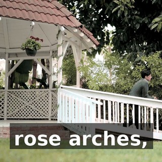 rose arches,