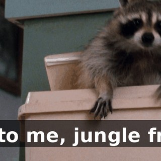 5c7c5e56-6eeb-4d4b-b295-b986be674713.gif