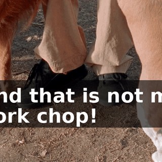 And that is not my pork chop!