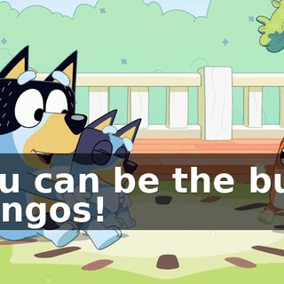 You can be the bum bongos!