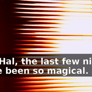Oh, Hal, the last few nights have been so magical.