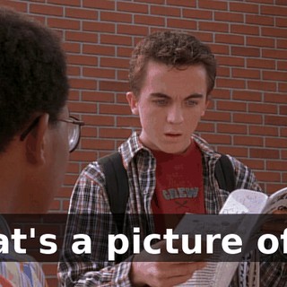 That's a picture of...!