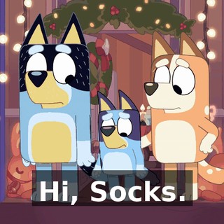 Hi, Socks.