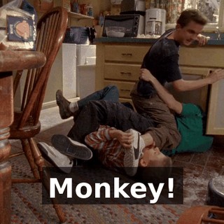 Monkey!