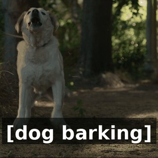 5d2bb46d-20ae-453a-97b7-f2eb2f9ea84b.gif