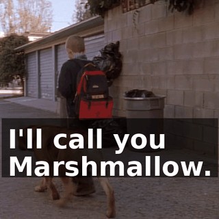I'll call you Marshmallow.