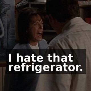I hate that refrigerator.