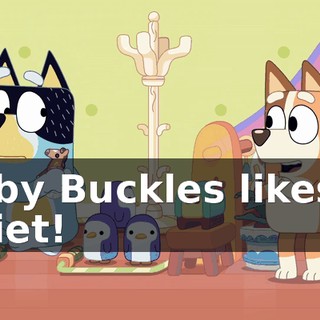 Baby Buckles likes it quiet!