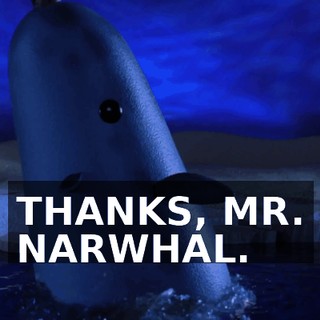 THANKS, MR. NARWHAL.