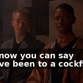 But now you can say you've been to a cockfight.