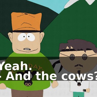 Yeah. - And the cows?