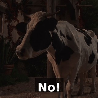 No!