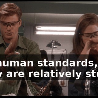 5e658887-b23f-4604-a616-445c78bdaf3f.gif