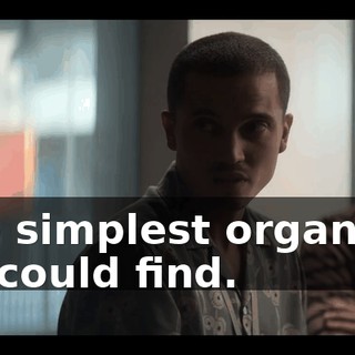5ea7a3c7-0ea7-4484-aeb1-e28b4ac261ac.gif