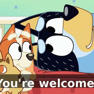 You're welcome.