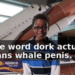 - The word dork actually means whale penis.