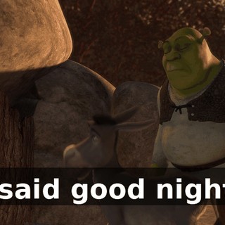 I said good night!