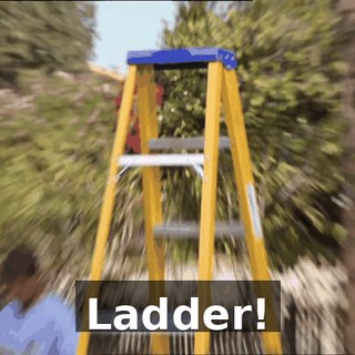 5f039ad8-095e-412e-a3ca-0d9154a6785d.gif
