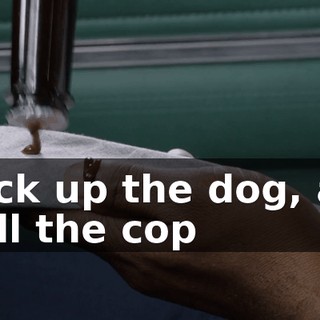I pick up the dog, and I tell the cop