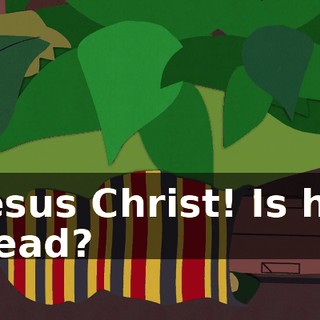 Jesus Christ! Is he dead?