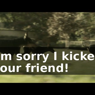 I'm sorry I kicked your friend!
