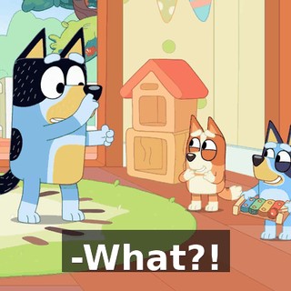 -What?!