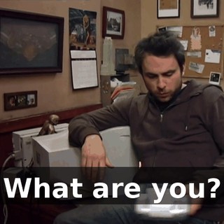 5f74d465-f4ac-4791-88ee-676c9c1f916f.gif