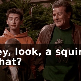 - Hey, look, a squirrel. - What?