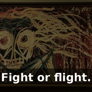 5f7cfada-0f9f-4b9e-af0e-5b1e29743b24.gif