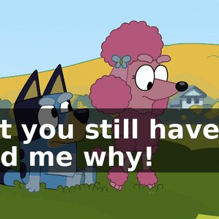 But you still haven't told me why!