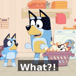 What?!