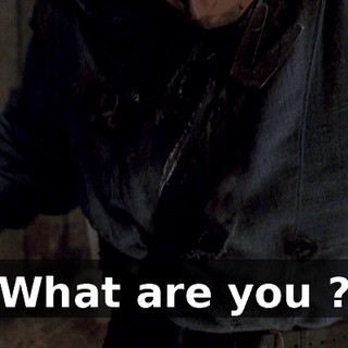 What are you ?