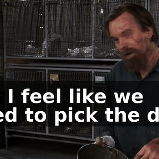 Ah, I feel like we need to pick the dog.