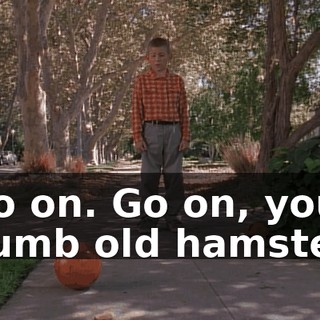 Go on. Go on, you dumb old hamster.