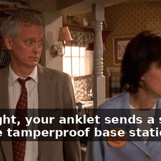 All right, your anklet sends a signal to the tamperproof base station.