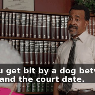 if you get bit by a dog between now and the court date.