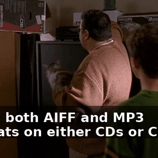 Plays both AIFF and MP3 formats on either CDs or CD-Rs.