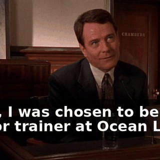 Well, I was chosen to be a junior trainer at Ocean Land.