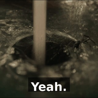Yeah.