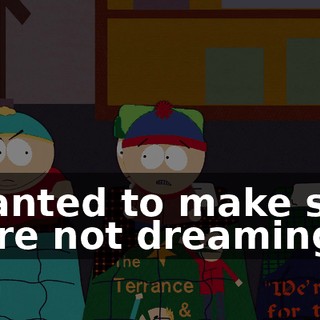 I wanted to make sure we're not dreaming.
