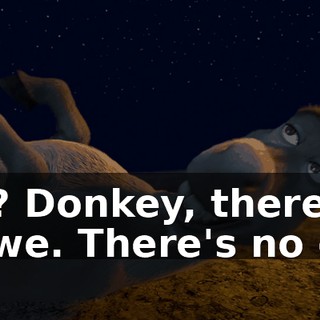 We? Donkey, there's no we. There's no our.