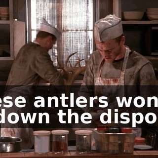 These antlers won't fit down the disposal.