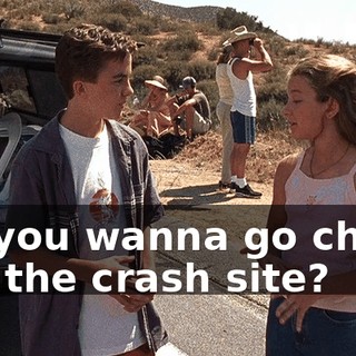 Do you wanna go check out the crash site?